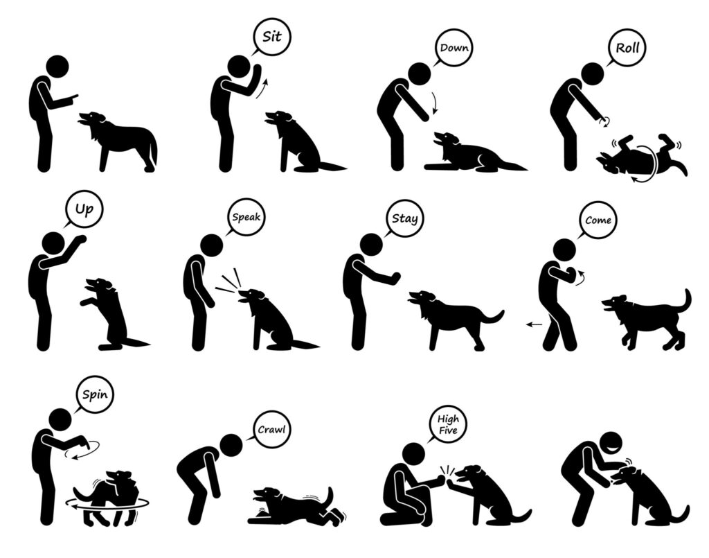 12 Dog Training Hand Signals And How To Use Them 