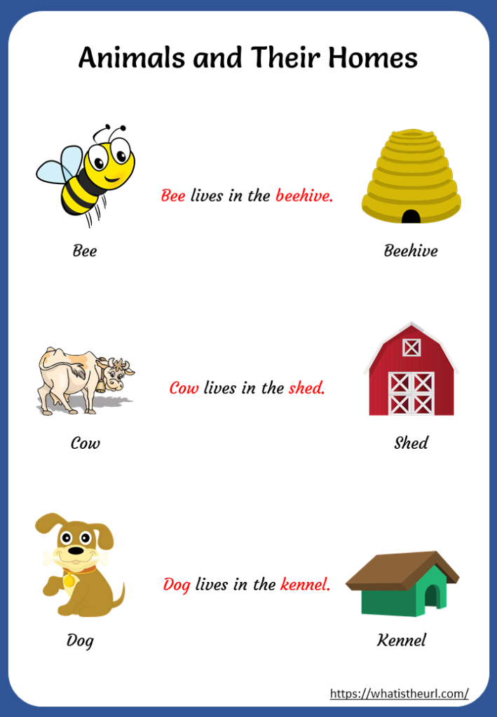 Animals and their home chart Your Home Teacher