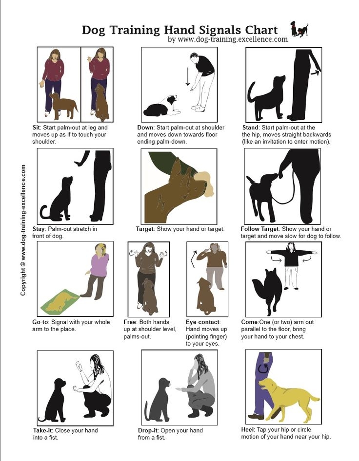 Basic Dog Printable Dog Training Hand Signals Chart Pdf