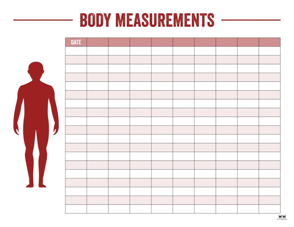 Body Measurement Charts FREE Printables Printabulls