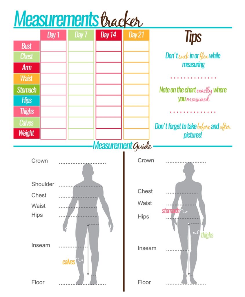 Body Measurement Template