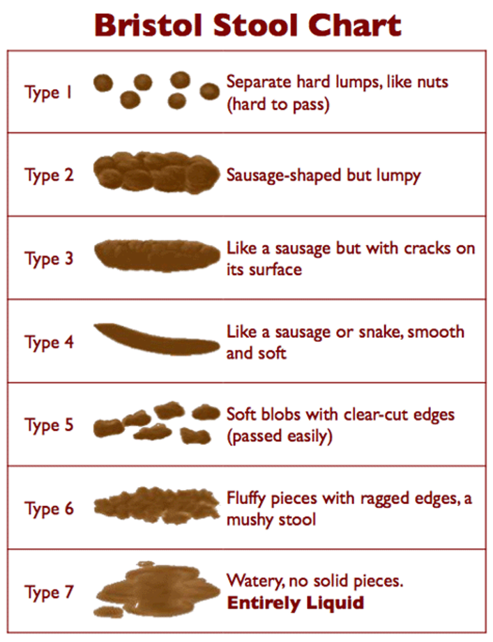 Bristol Stool Chart Faecal Continence Foundation Of Australia