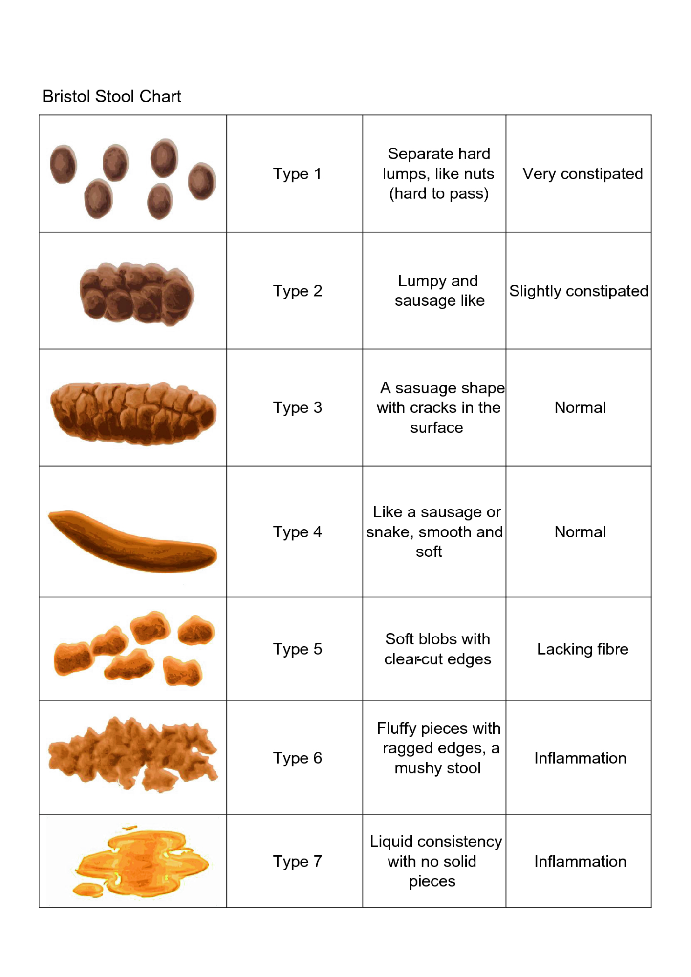 Bristol Stool Chart Printable