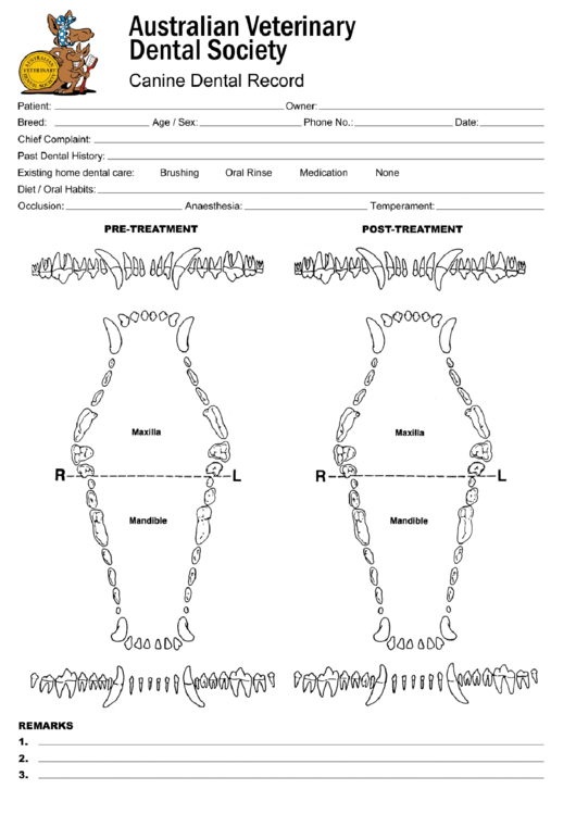 Canine Animal Teeth Chart Printable Pdf Download