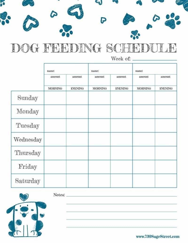 Dog Feeding Schedule Chart