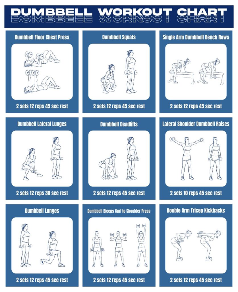 Dumbbell Exercises Chart 10 Free PDF Printables Printablee