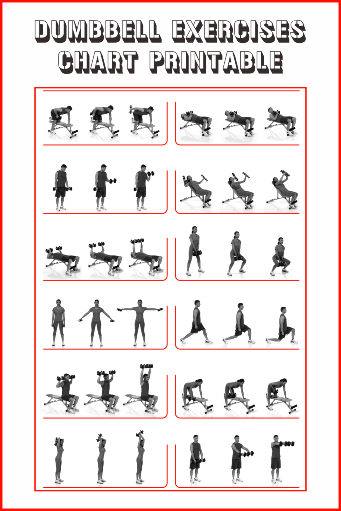 Dumbbell Exercises Chart Free Printable