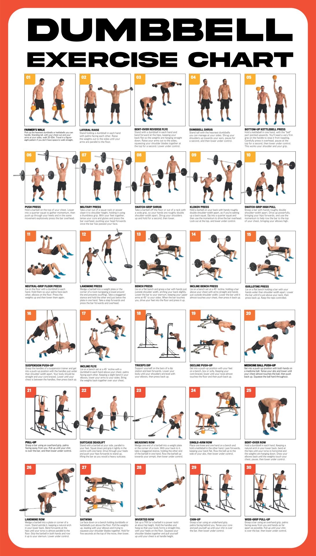 Dumbbell Workout Poster 10 Free PDF Printables Printablee