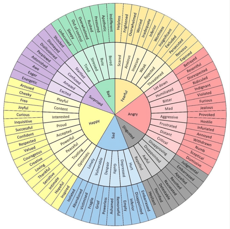 Emotion Wheel Printable Simple One