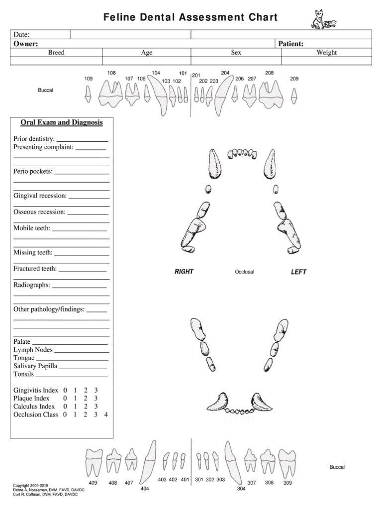 Feline Dental Chart Fill Online Printable Fillable Blank PdfFiller