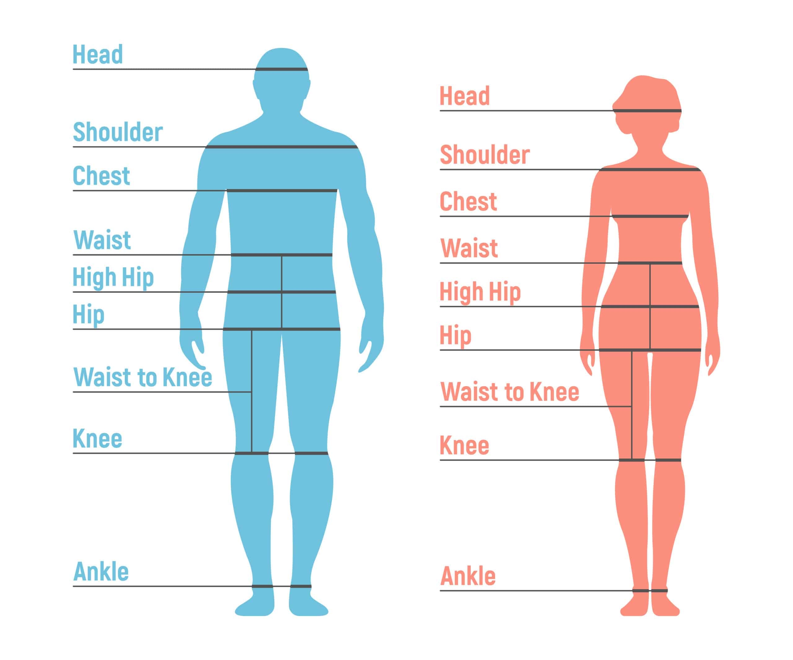 Free Printable Body Measurement Chart