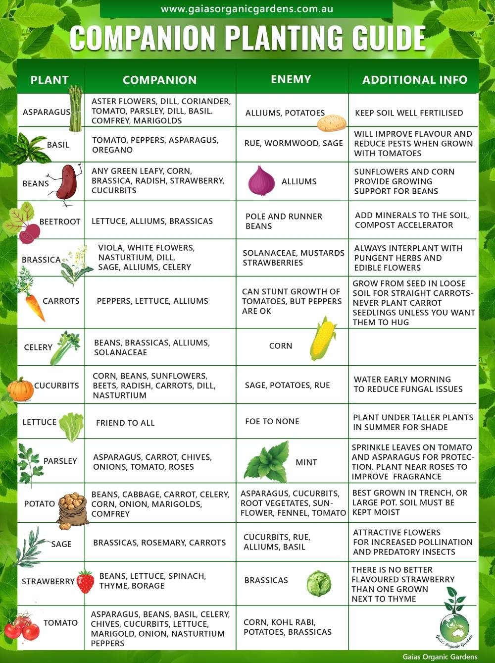 Free Printable Companion Planting Chart For Vegetables