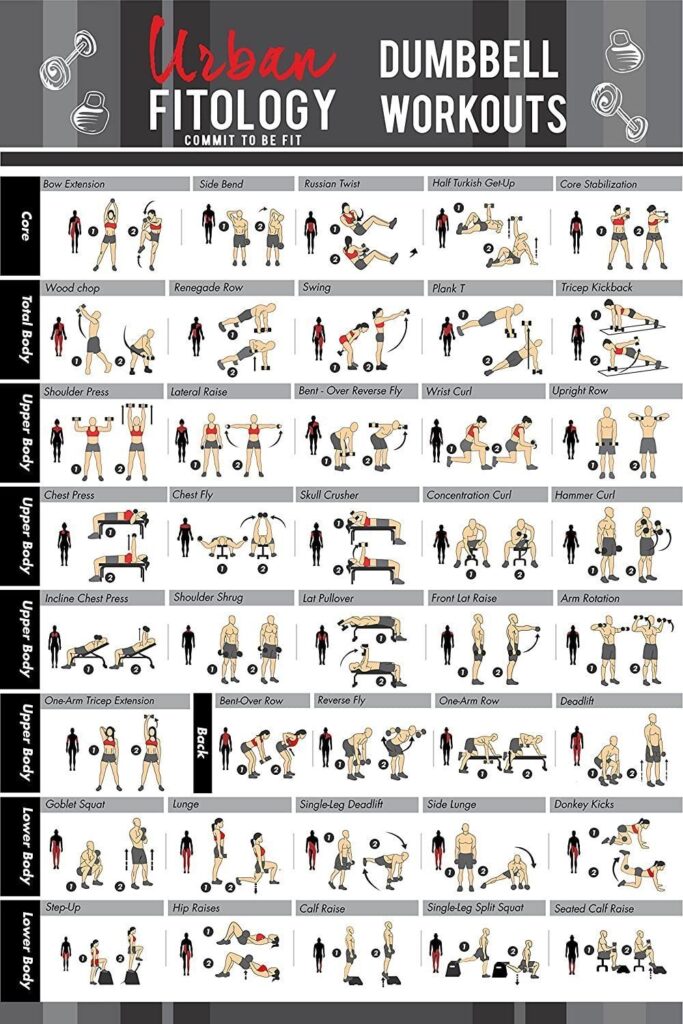 Pdf Printable Full Body Dumbbell Workout