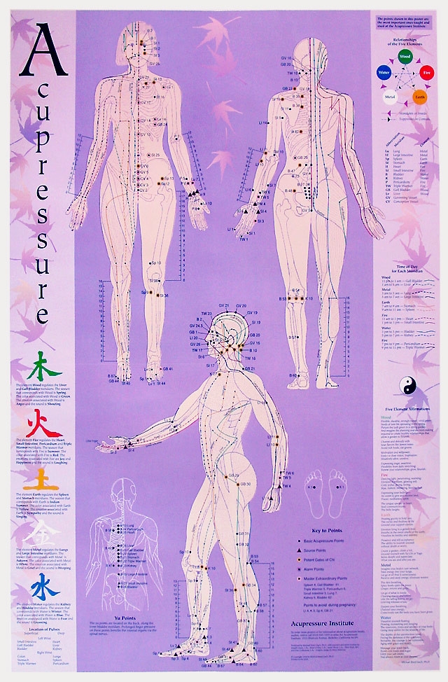 Printable Acupressure Points Chart