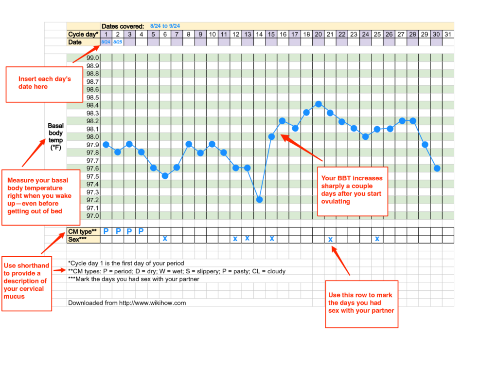 Printable Basal Temperature Chart