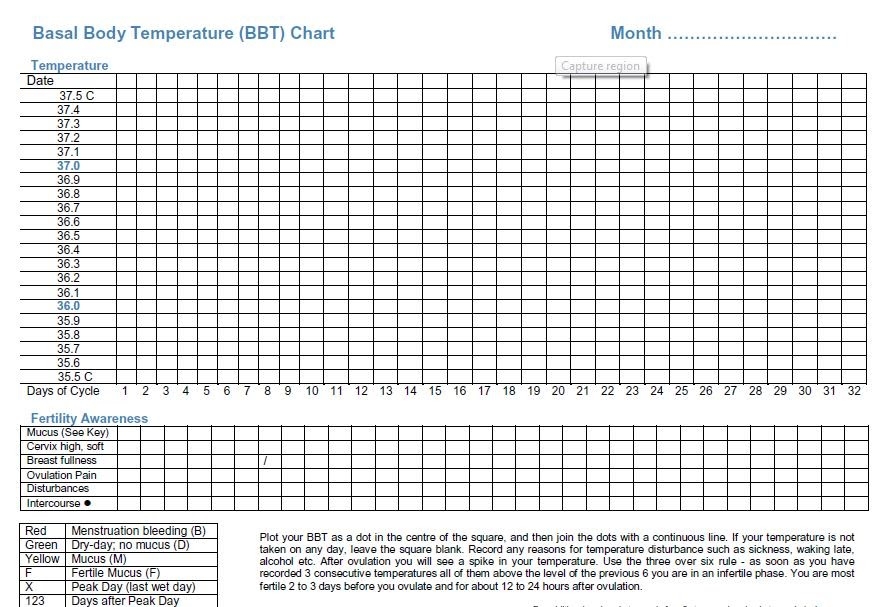 Printable Bbt Chart