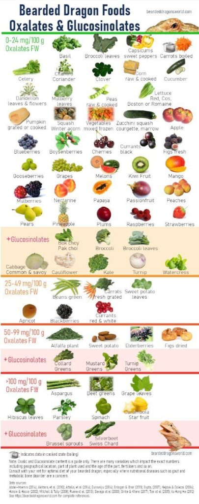 Printable Bearded Dragon Food Chart