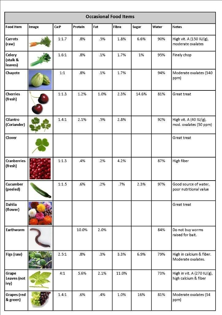 Printable Bearded Dragon Food Chart