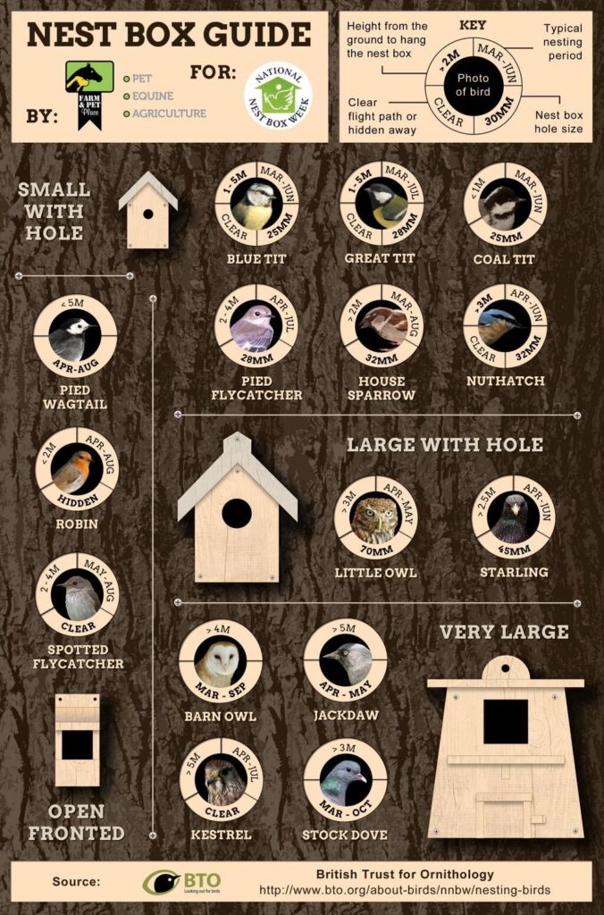 Printable Birdhouse Preference Chart Printable Word Searches