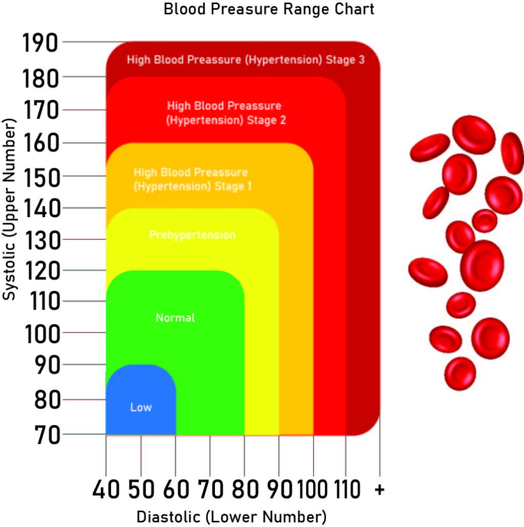 Printable Blood Pressure Chart