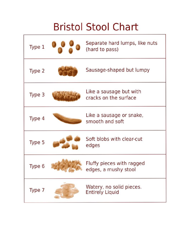 Bristol Stool Chart Printable Free Printable Chart D30