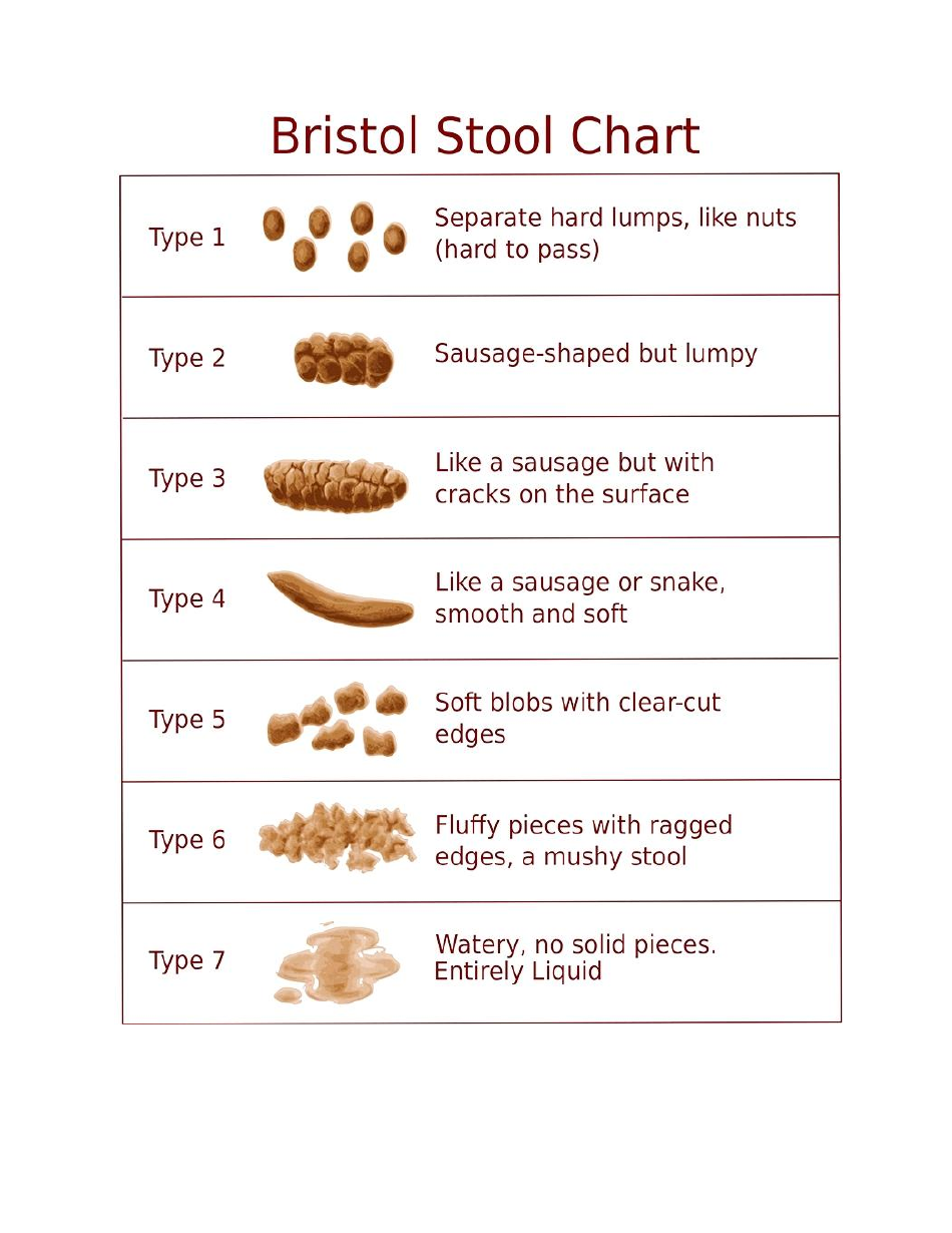 Printable Bristol Stool Chart