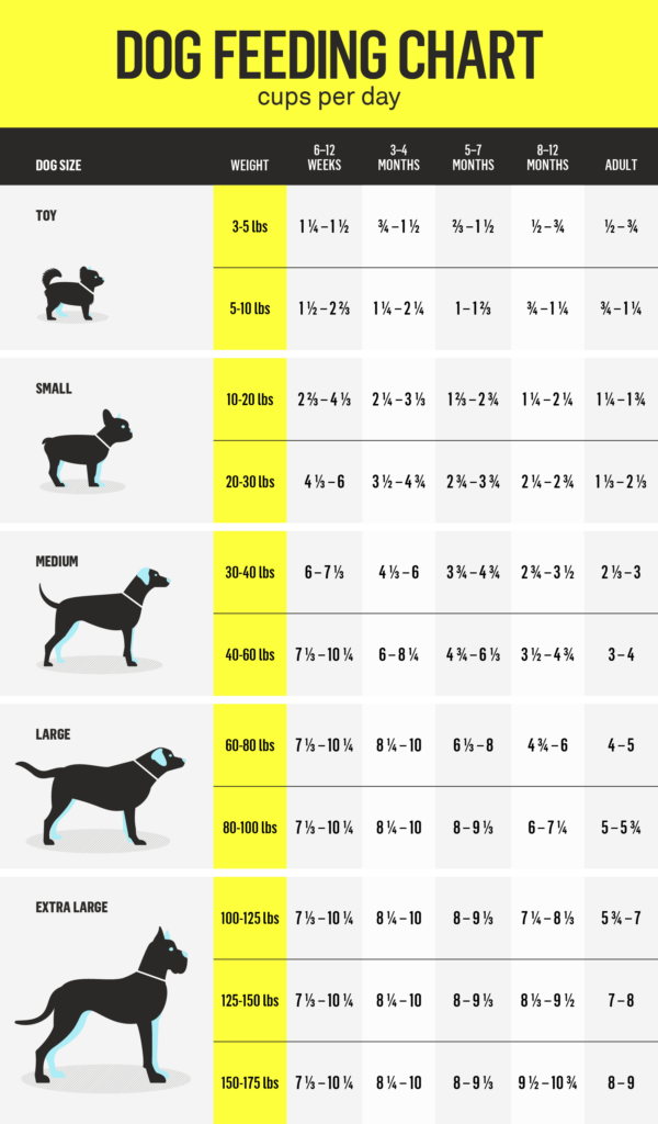 Printable Dog Feeding Chart