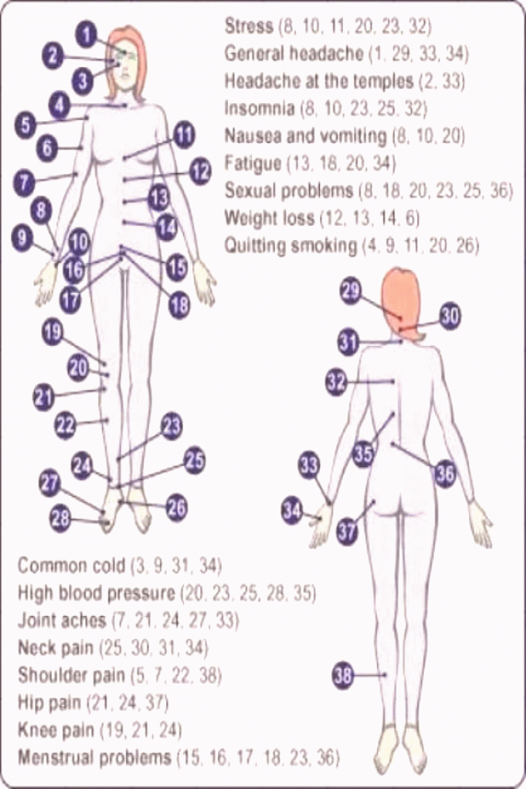 Printable Female Acupuncture Points Chart Captain Printable Calendars