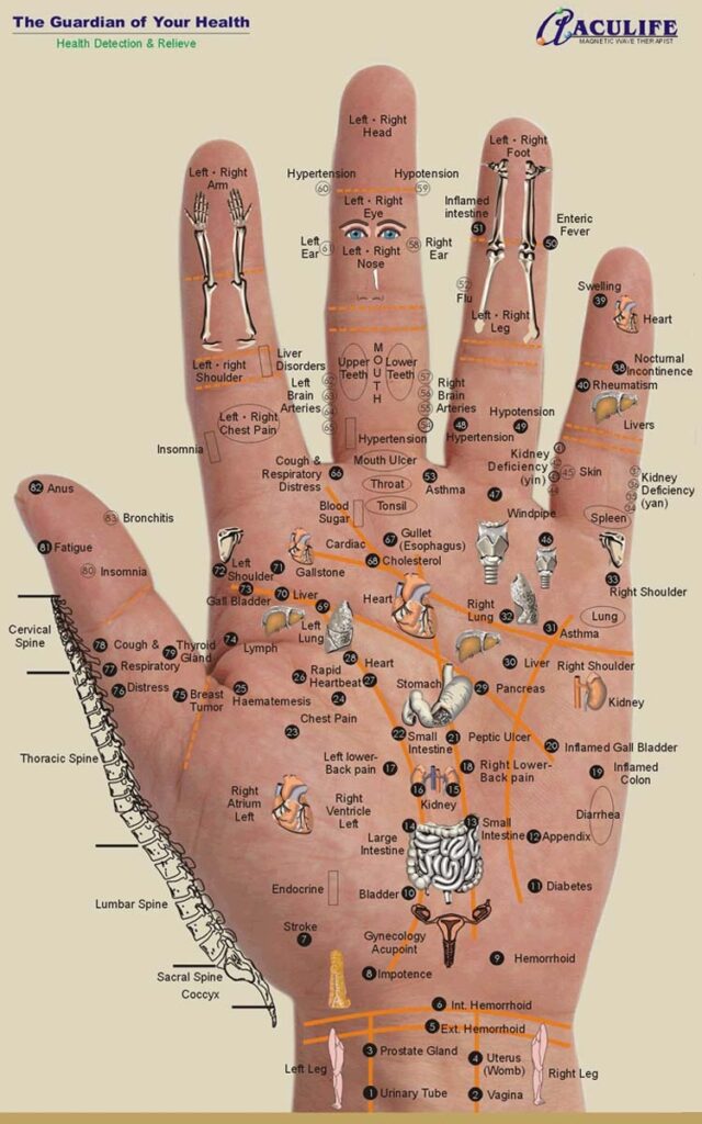 Printable Hand Reflexology Chart