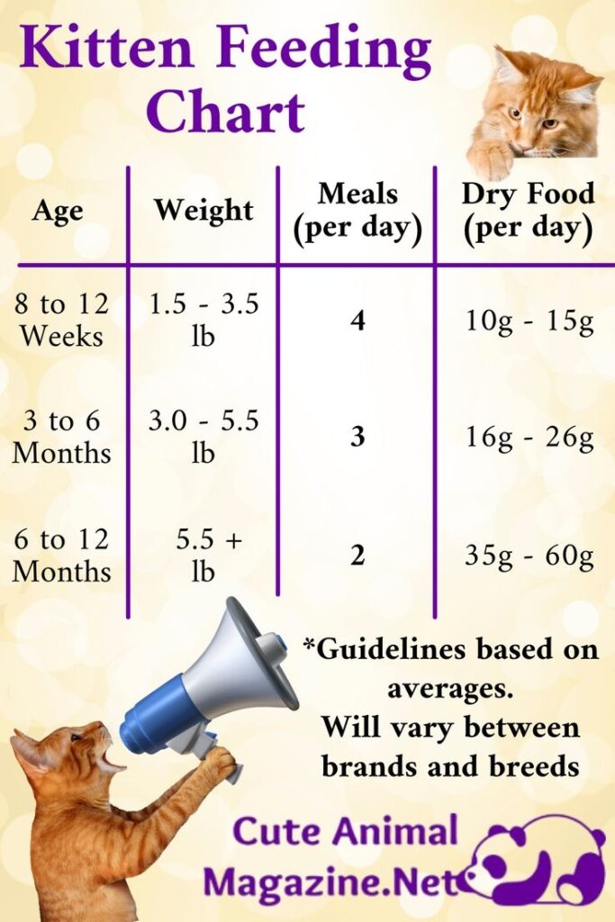 Printable Kitten Feeding Chart