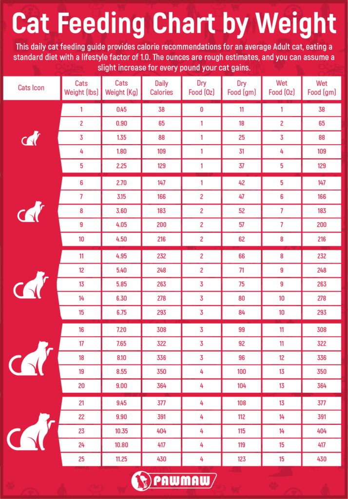 Printable Kitten Feeding Chart Calendar Printables