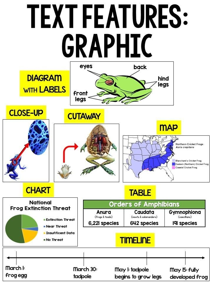 Text Features Anchor Chart Printable Printable Templates Free